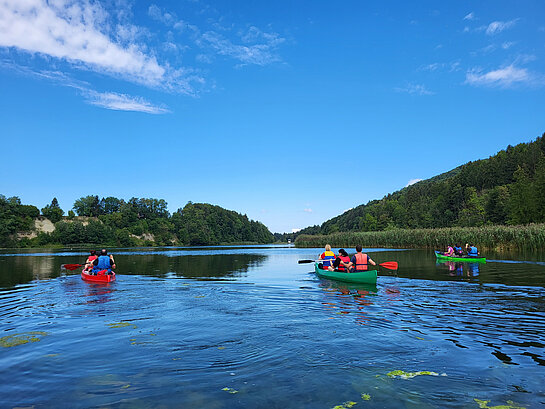 Bild von Sebastian Kroh