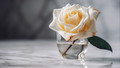 Trauer Rose im Glas