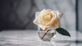 Trauer Rose im Glas