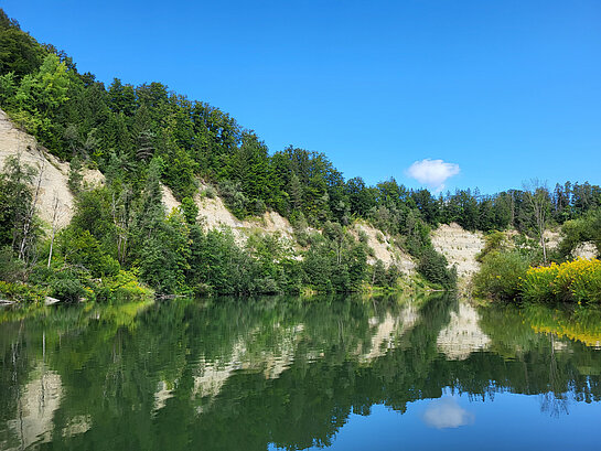 Bild von Sebastian Kroh