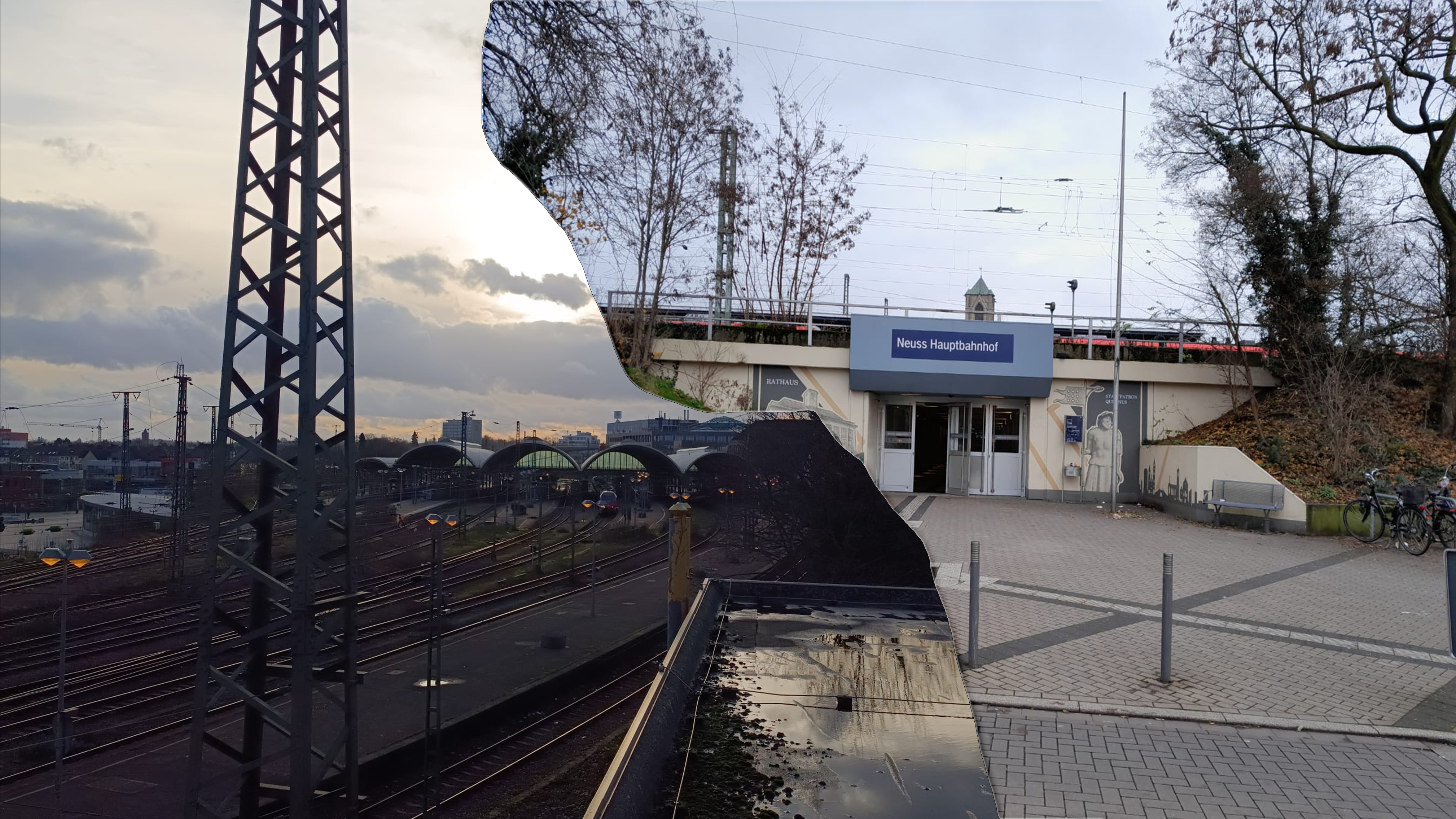 Neuer_Banner.jpg