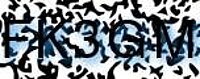 grafischer Sicherheitscode