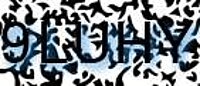 grafischer Sicherheitscode