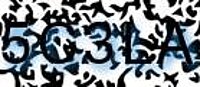grafischer Sicherheitscode