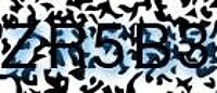 grafischer Sicherheitscode