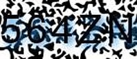 grafischer Sicherheitscode