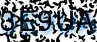 grafischer Sicherheitscode