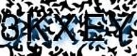 grafischer Sicherheitscode