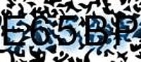 grafischer Sicherheitscode