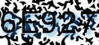 grafischer Sicherheitscode
