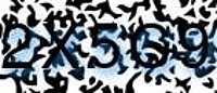 grafischer Sicherheitscode