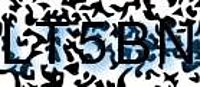 grafischer Sicherheitscode