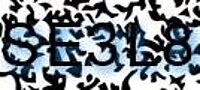 grafischer Sicherheitscode