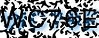 grafischer Sicherheitscode