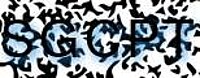 grafischer Sicherheitscode