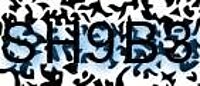 grafischer Sicherheitscode