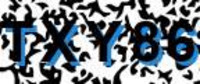 grafischer Sicherheitscode