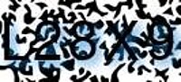 grafischer Sicherheitscode