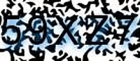 grafischer Sicherheitscode
