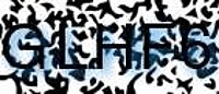 grafischer Sicherheitscode