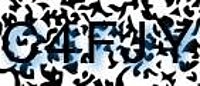 grafischer Sicherheitscode