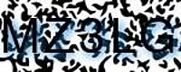 grafischer Sicherheitscode