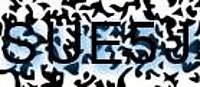 grafischer Sicherheitscode