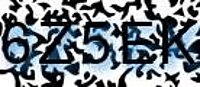 grafischer Sicherheitscode