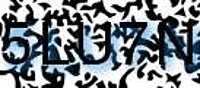 grafischer Sicherheitscode