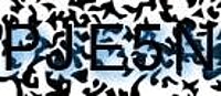 grafischer Sicherheitscode
