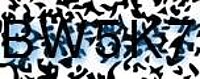 grafischer Sicherheitscode