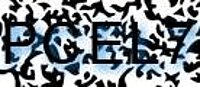 grafischer Sicherheitscode