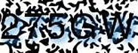 grafischer Sicherheitscode