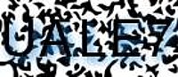 grafischer Sicherheitscode