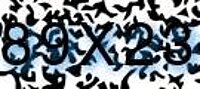 grafischer Sicherheitscode