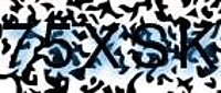 grafischer Sicherheitscode