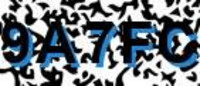 grafischer Sicherheitscode