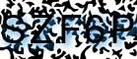 grafischer Sicherheitscode