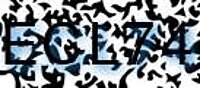 grafischer Sicherheitscode