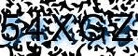 grafischer Sicherheitscode