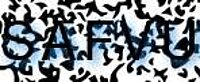 grafischer Sicherheitscode