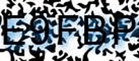 grafischer Sicherheitscode