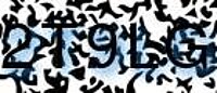grafischer Sicherheitscode