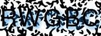 grafischer Sicherheitscode