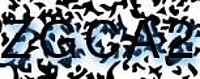 grafischer Sicherheitscode