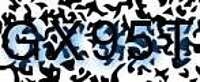 grafischer Sicherheitscode