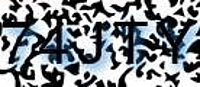 grafischer Sicherheitscode