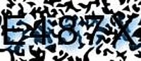 grafischer Sicherheitscode