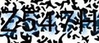 grafischer Sicherheitscode