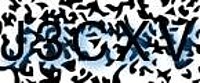 grafischer Sicherheitscode